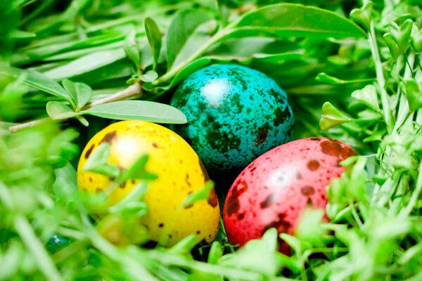 Colored eggs in the grass