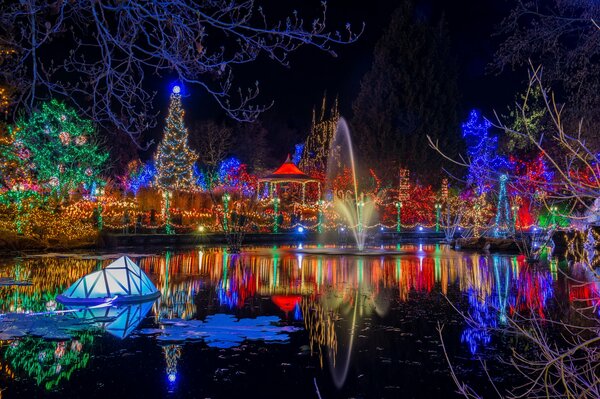 Parc dans les lumières dans le reflet de l étang