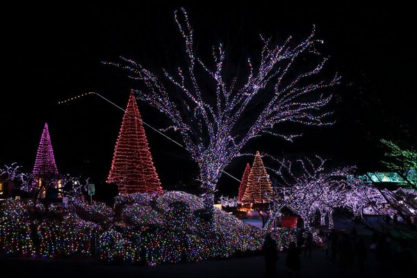 Christmas decoration of the yard and trees with hundreds of lights sparkling garlands