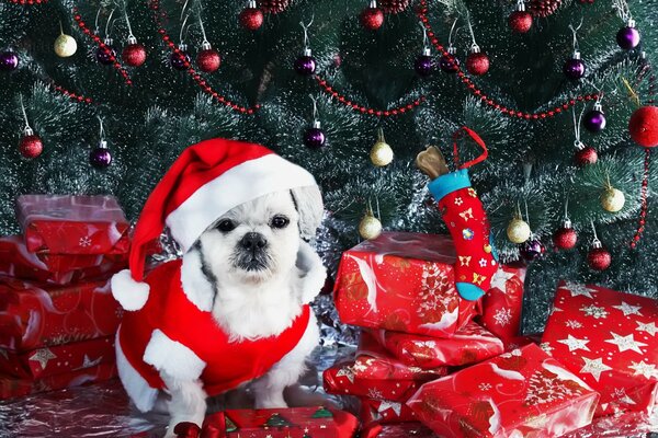 Perro de año nuevo en el fondo del árbol de Navidad con regalos