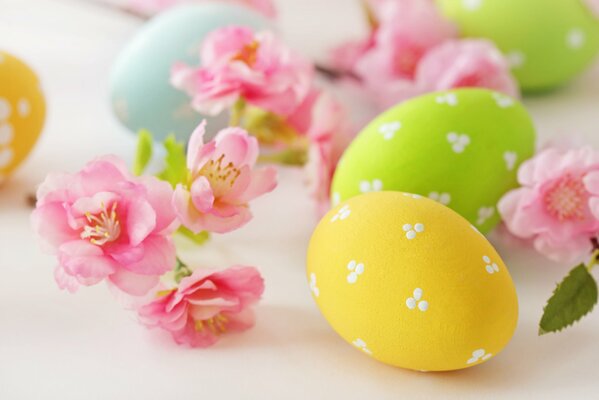 Huevos de Pascua amarillos y verdes y flores Rosadas