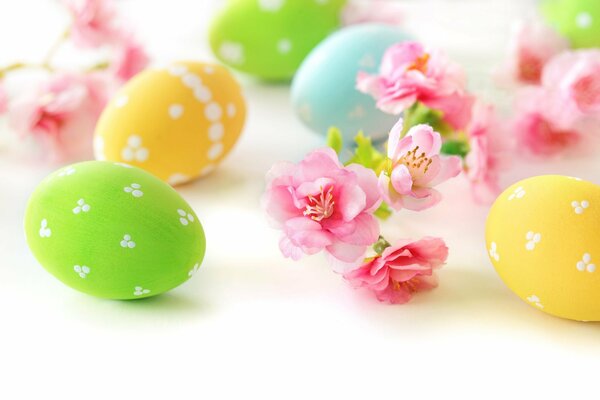 Painted Easter eggs and a blooming branch