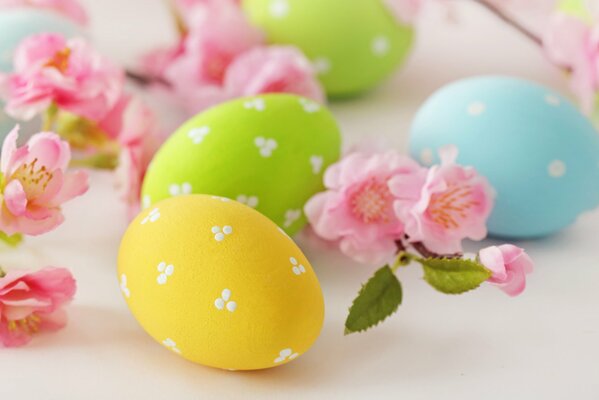 Oeufs de Pâques pastel et fleurs de pommier rose