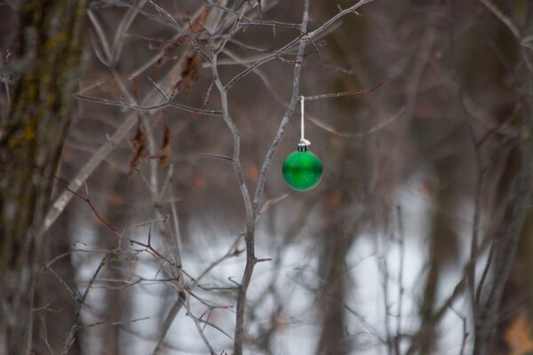 Festive toy hanging on a tree