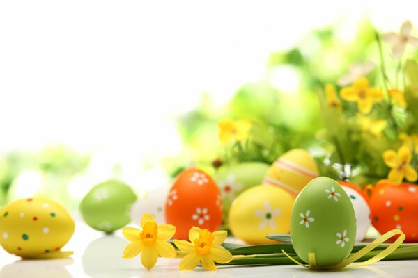 Colorful Easter eggs with daffodils