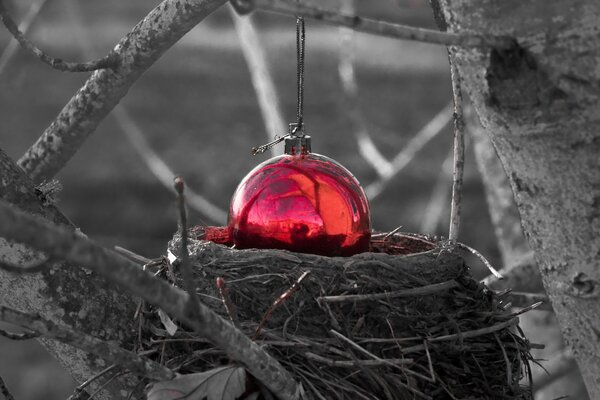 Jouet de Noël rouge vif dans le nid