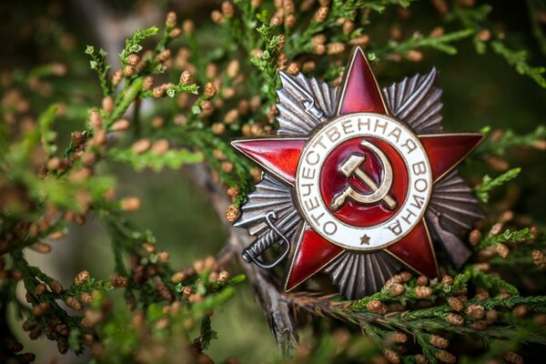 The badge is the star of the Patriotic War