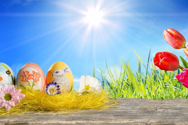 Huevos de Pascua en un nido decorativo. Tulipanes rojos y rosados bajo el sol