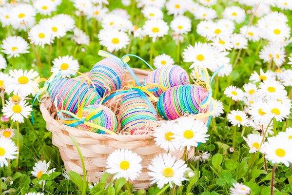 Uova di Pasqua in un cesto su un campo di margherite