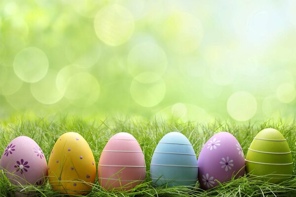 Multicolored eggs on green grass with highlights