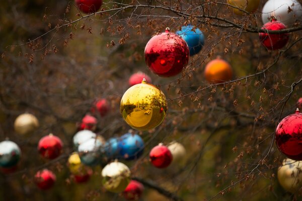 Christmas balls on a branch