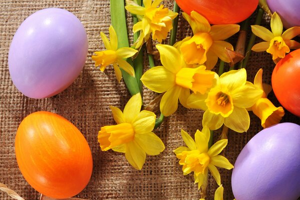 Oeufs colorés et jonquilles sur la table