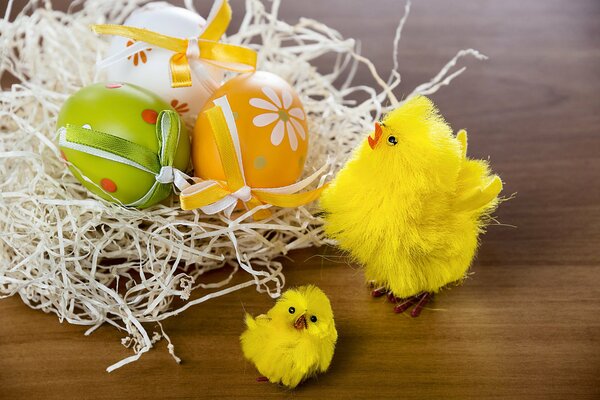 Polli a Pasqua con uova