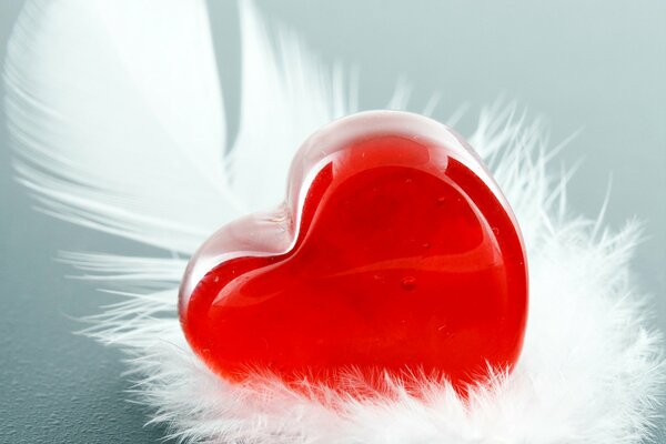 Coeur Saint Valentin avec plume