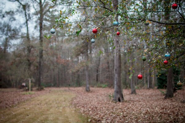 Decoración festiva del bosque de otoño