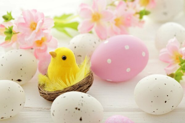 Rosa Frühlingsblümchen. Rosa und weiße Hoden. Ostern. Gelbes Huhn im Nest