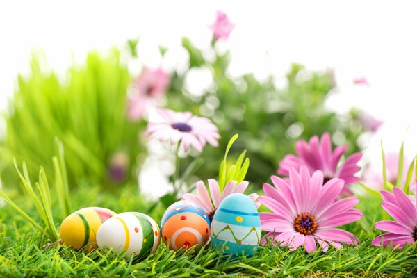 Easter eggs among flowers and grass