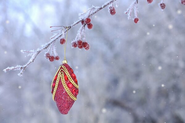 Red decoration on a Christmas branch