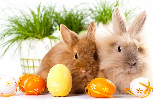 Cute bunnies and Easter eggs