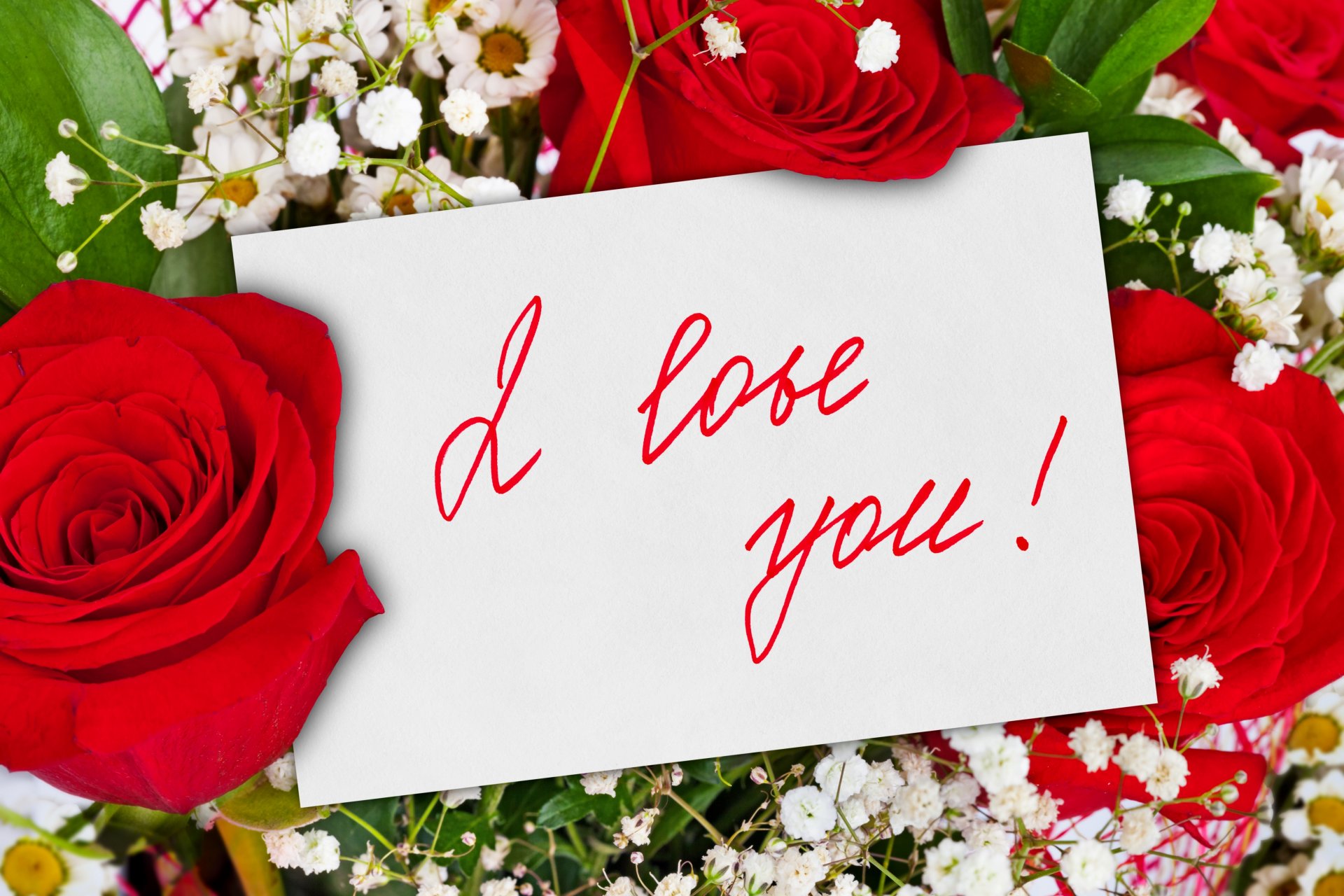 flower flowers rose roses bouquet red roses beautiful cool nice lovely pretty beauty i love you for you romance romantic