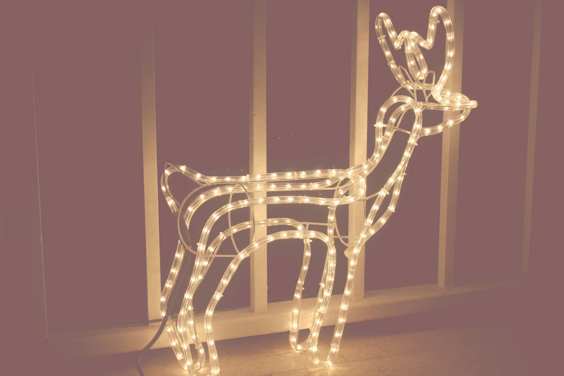 jeleń lampa żarówki nowy rok boże narodzenie