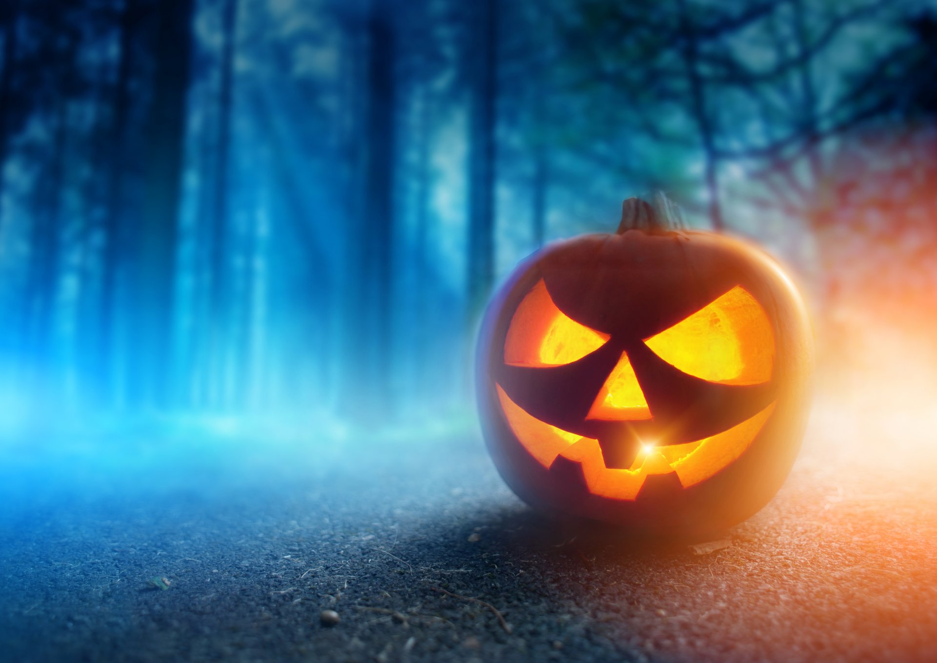 halloween dynia twarz odpoczynek uśmiech noc jesień las