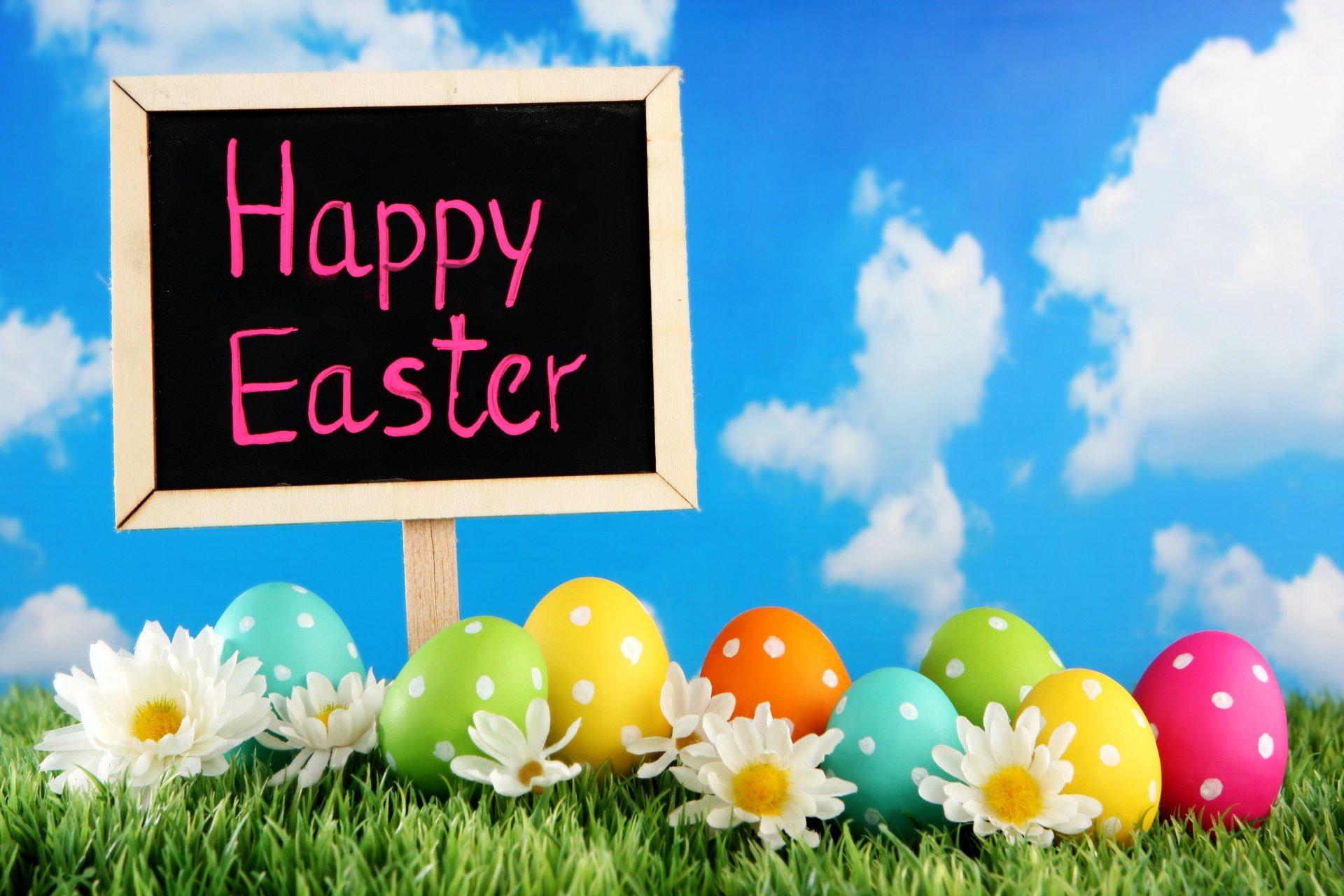 feliz pascua primavera flores huevos margaritas primavera