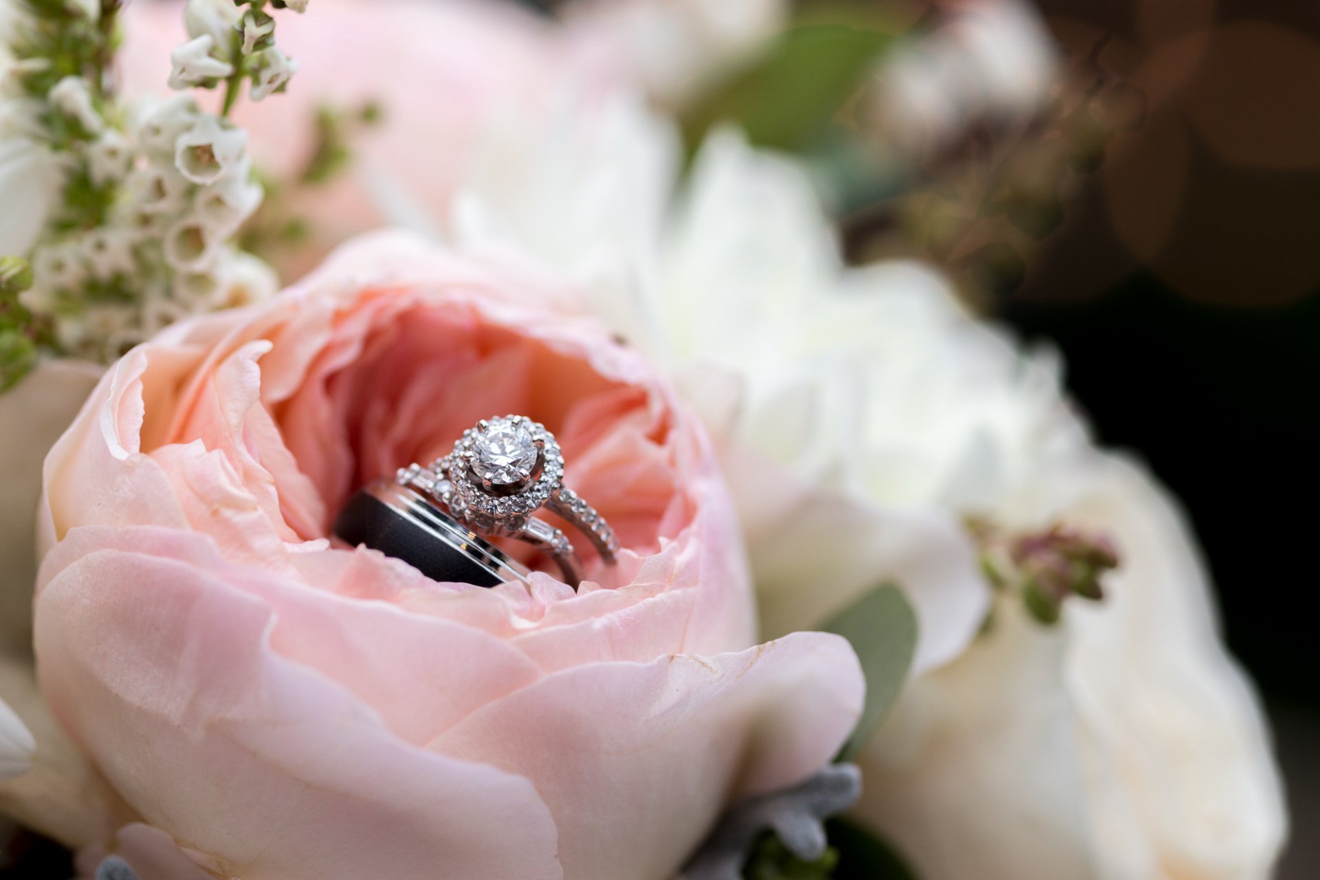 rings rose petal