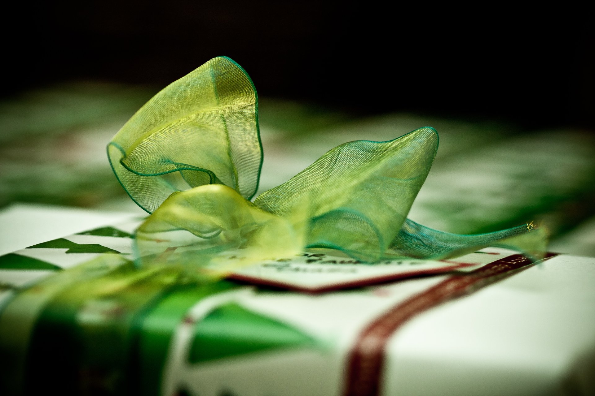 present belt bow close up