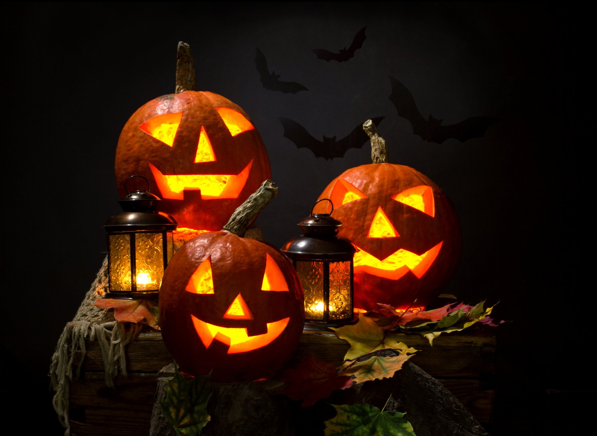 halloween calabaza cara vacaciones sonrisa velas linterna hojas otoño noche murciélagos