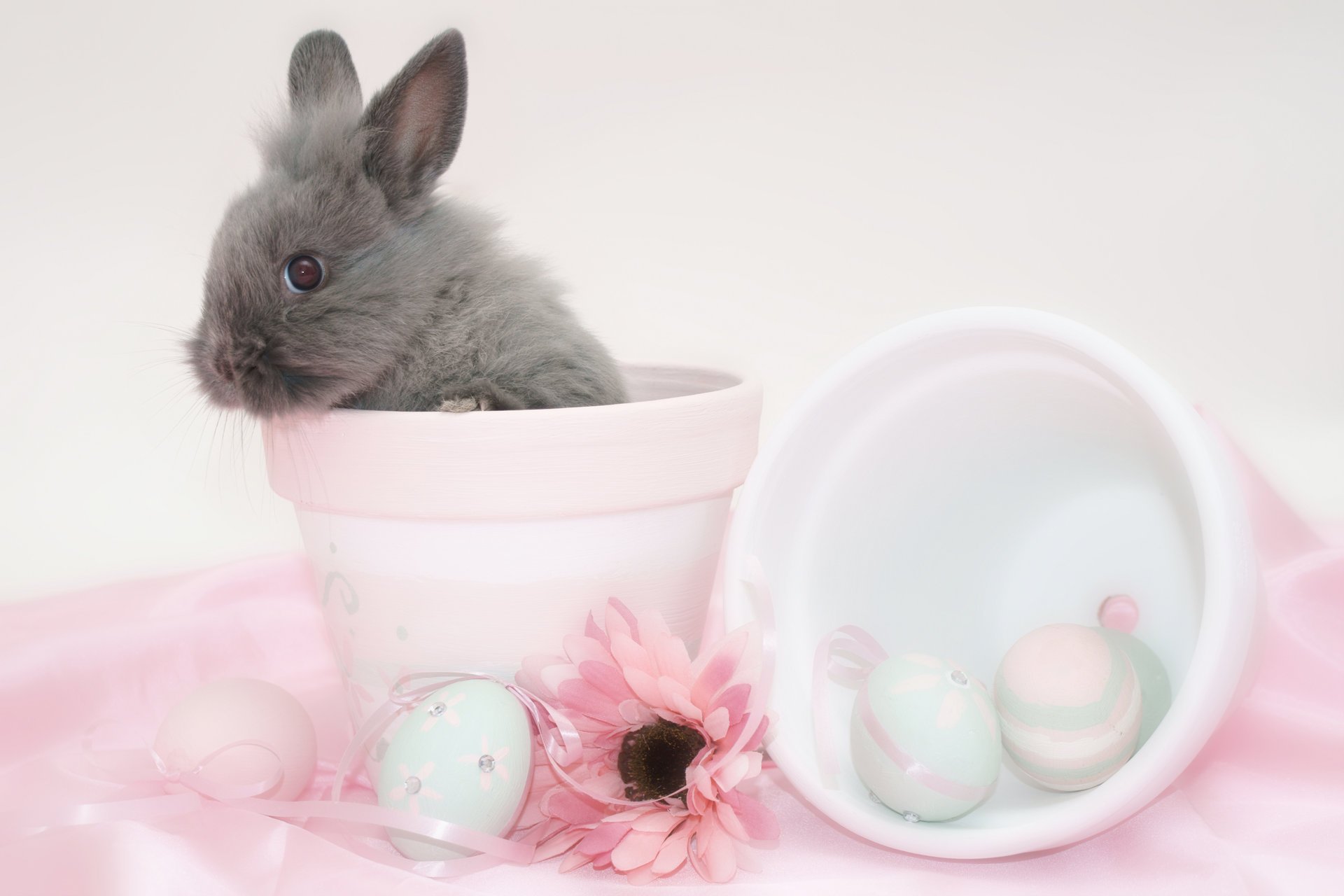 rabbit easter egg pot flower