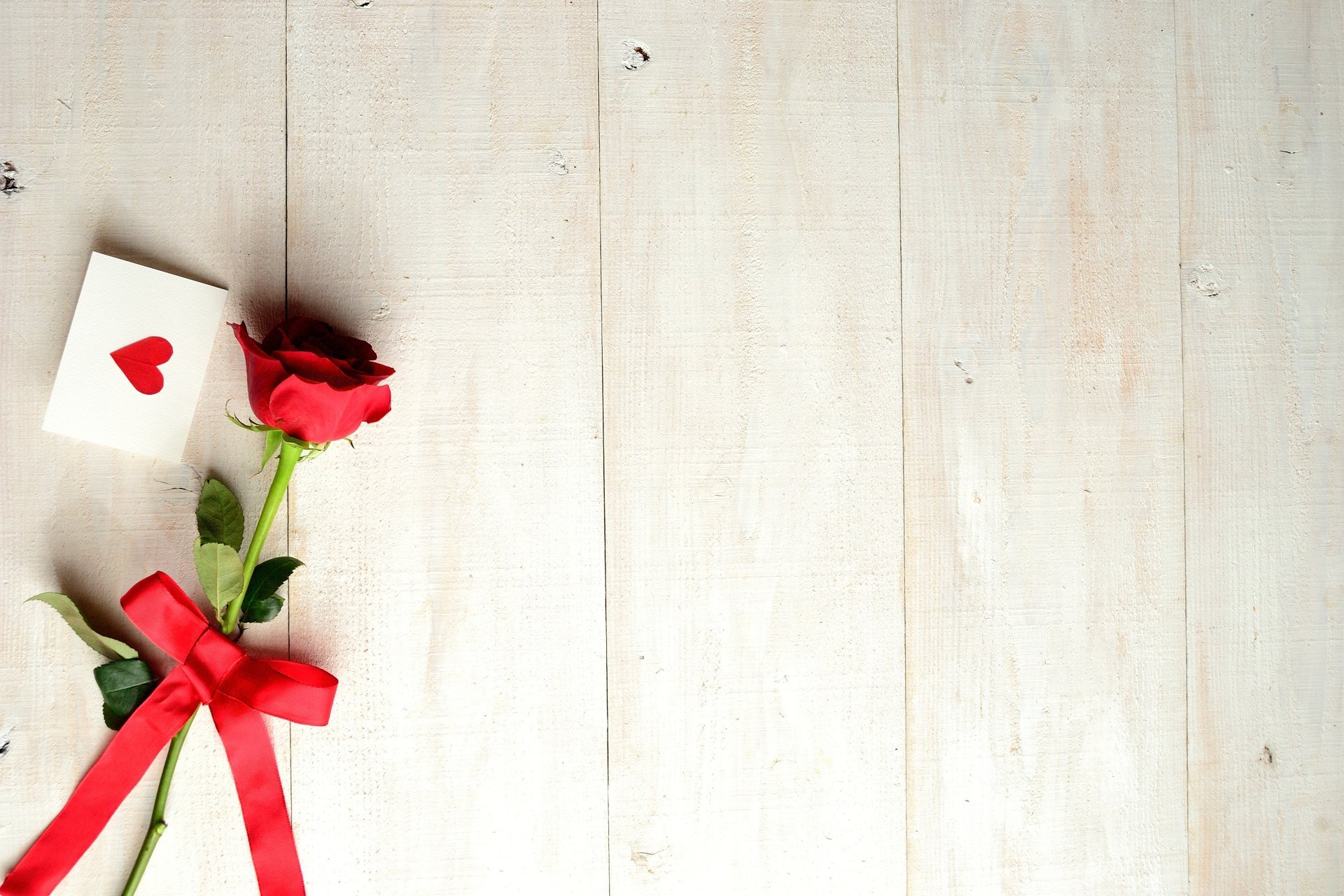 flower rose belt bow card heart holiday valentine s day