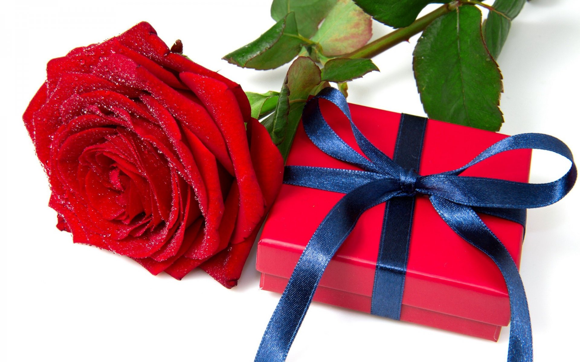 urlaub neujahr weihnachten weihnachten geschenk box band blume rose rot tapete widescreen vollbild widescreen hintergrund widescreen