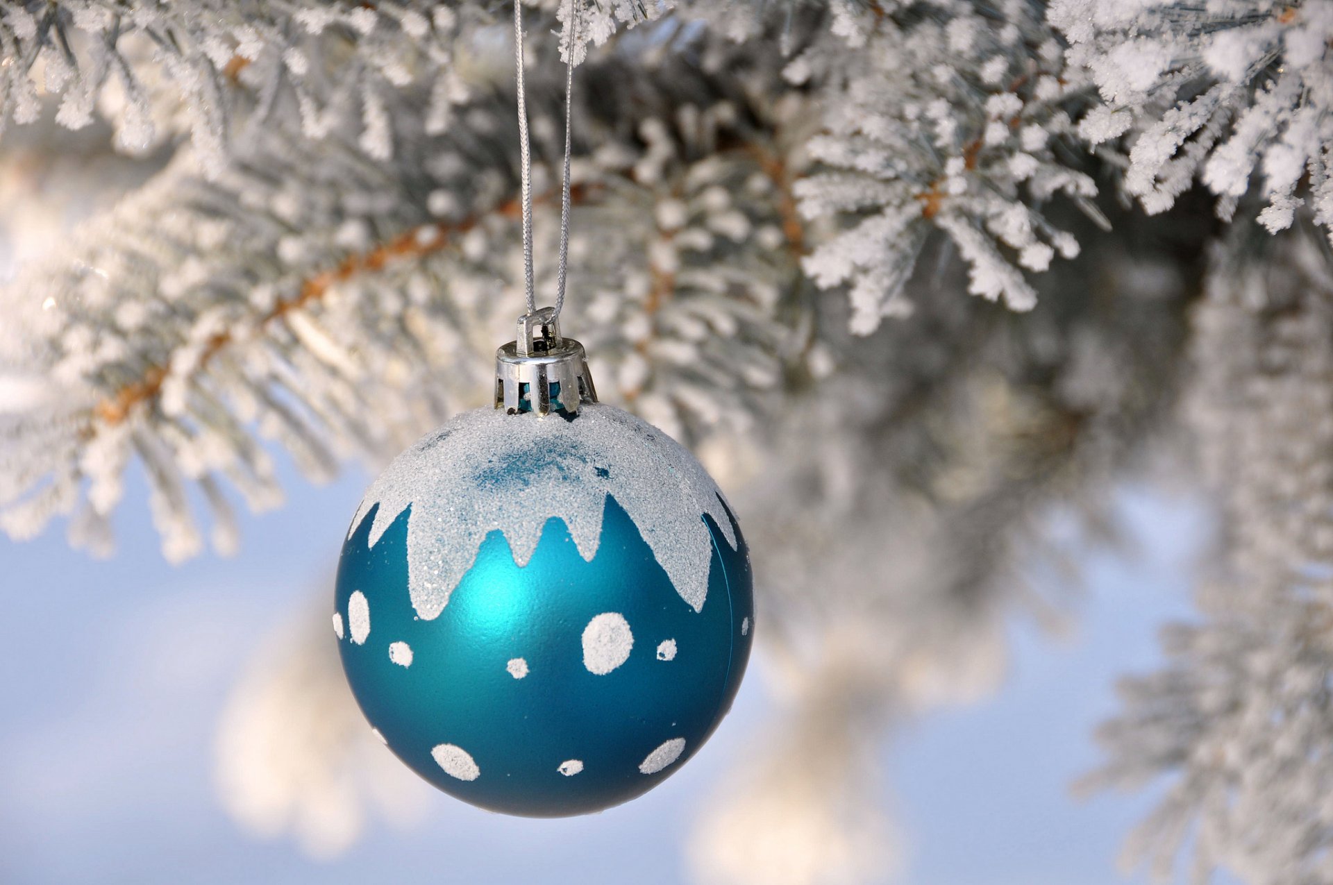 ramo albero di natale neve palla decorazione nuovo anno natale
