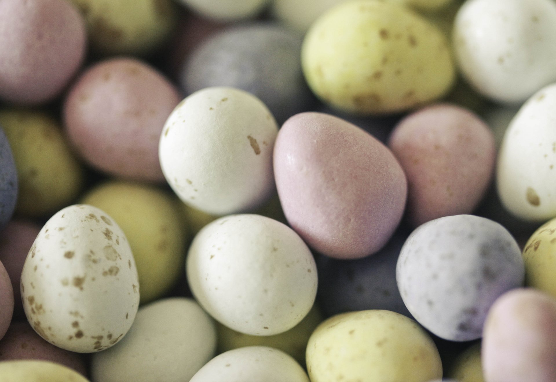 happy easter easter egg