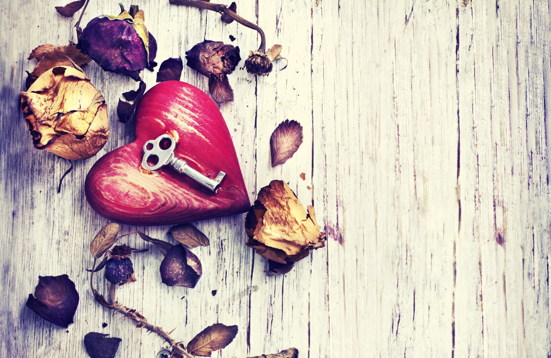 coeur rose pétales clé