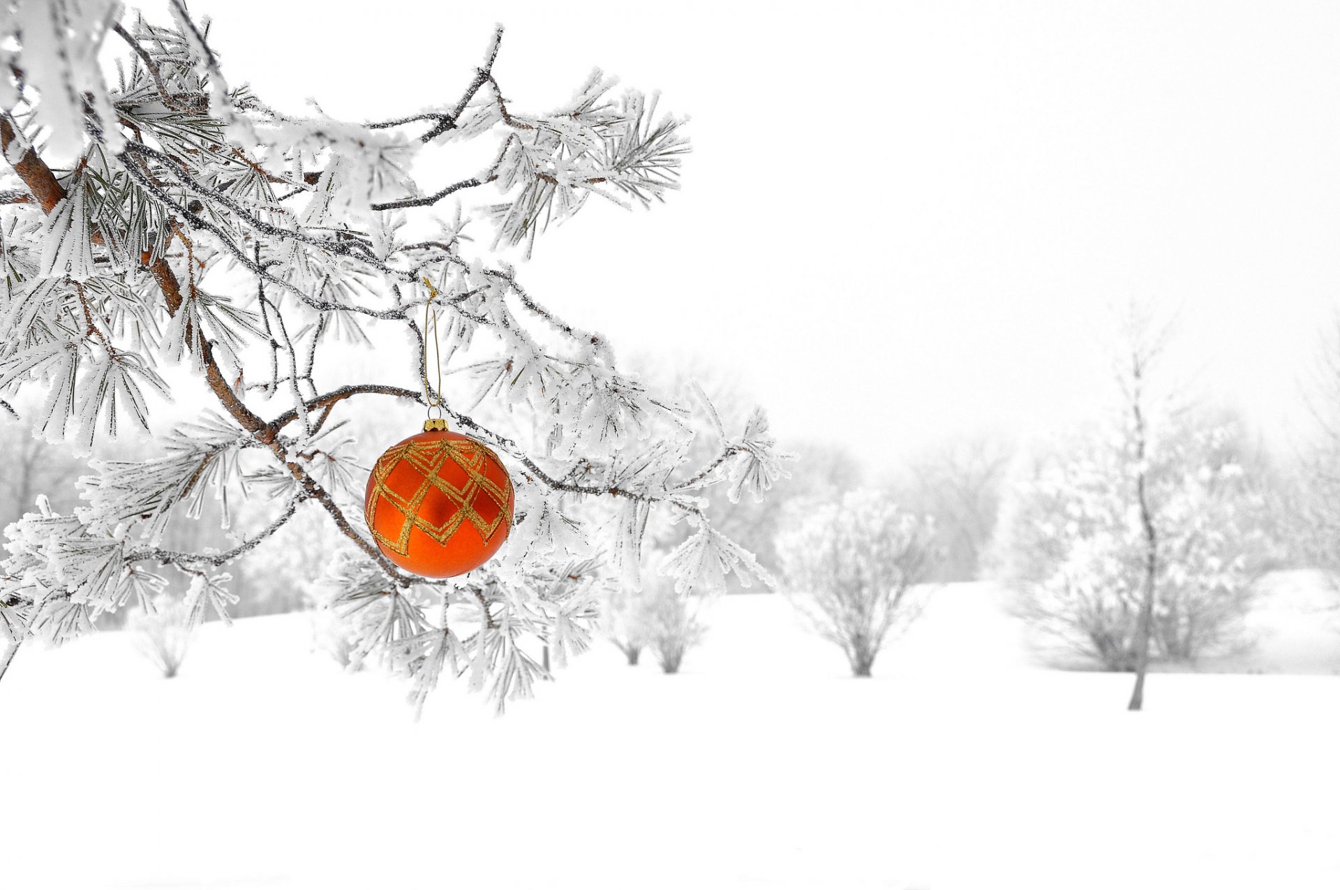 bosque invierno naturaleza nieve bola decoración árbol de navidad año nuevo navidad