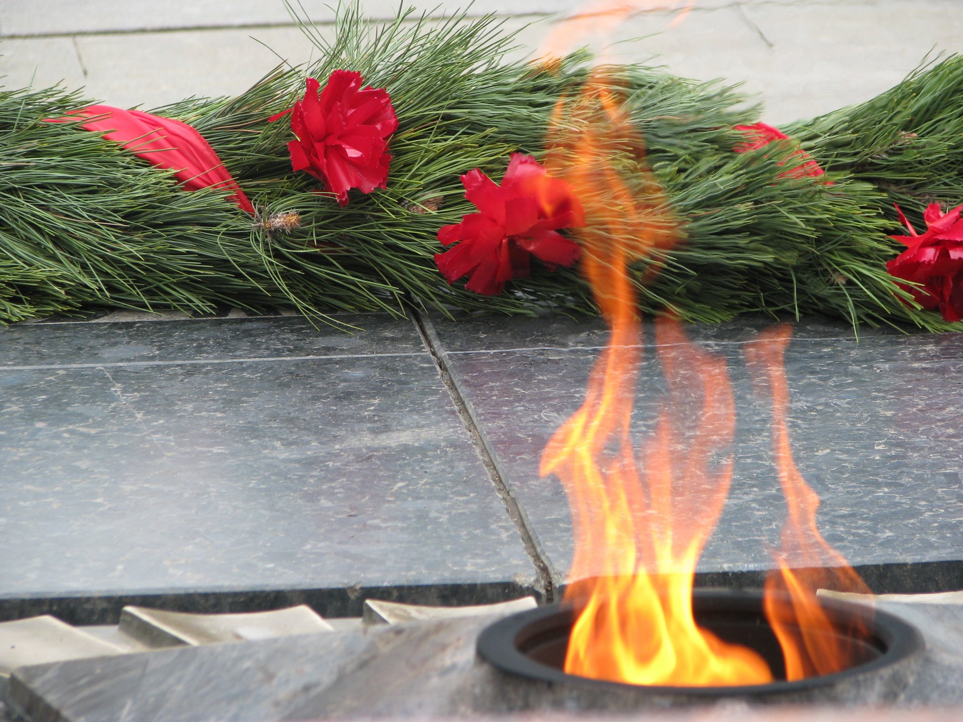 eternal flame victory day may 9 holiday sacred memory flower