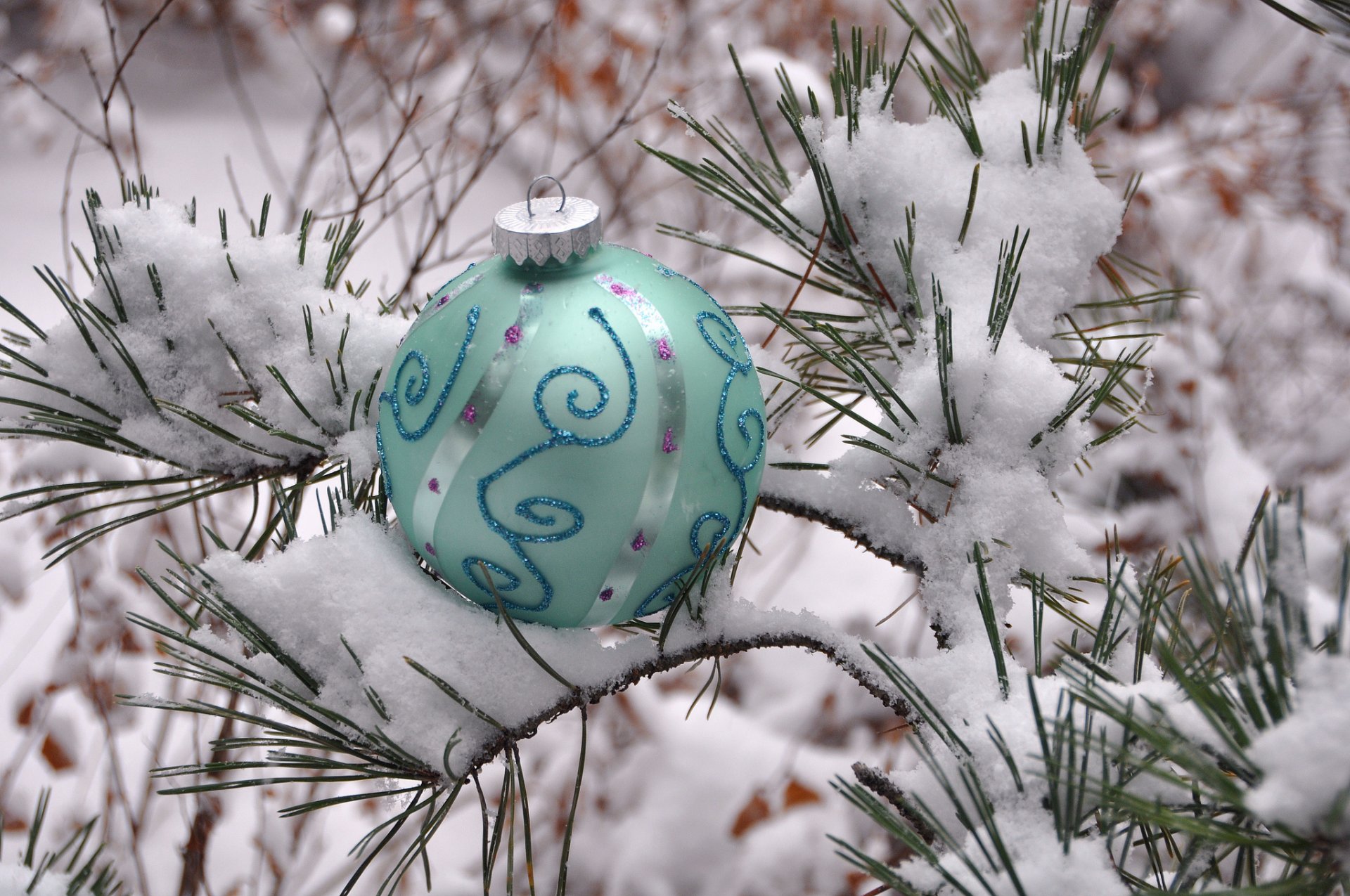 invierno nieve pino agujas bola decoración año nuevo navidad