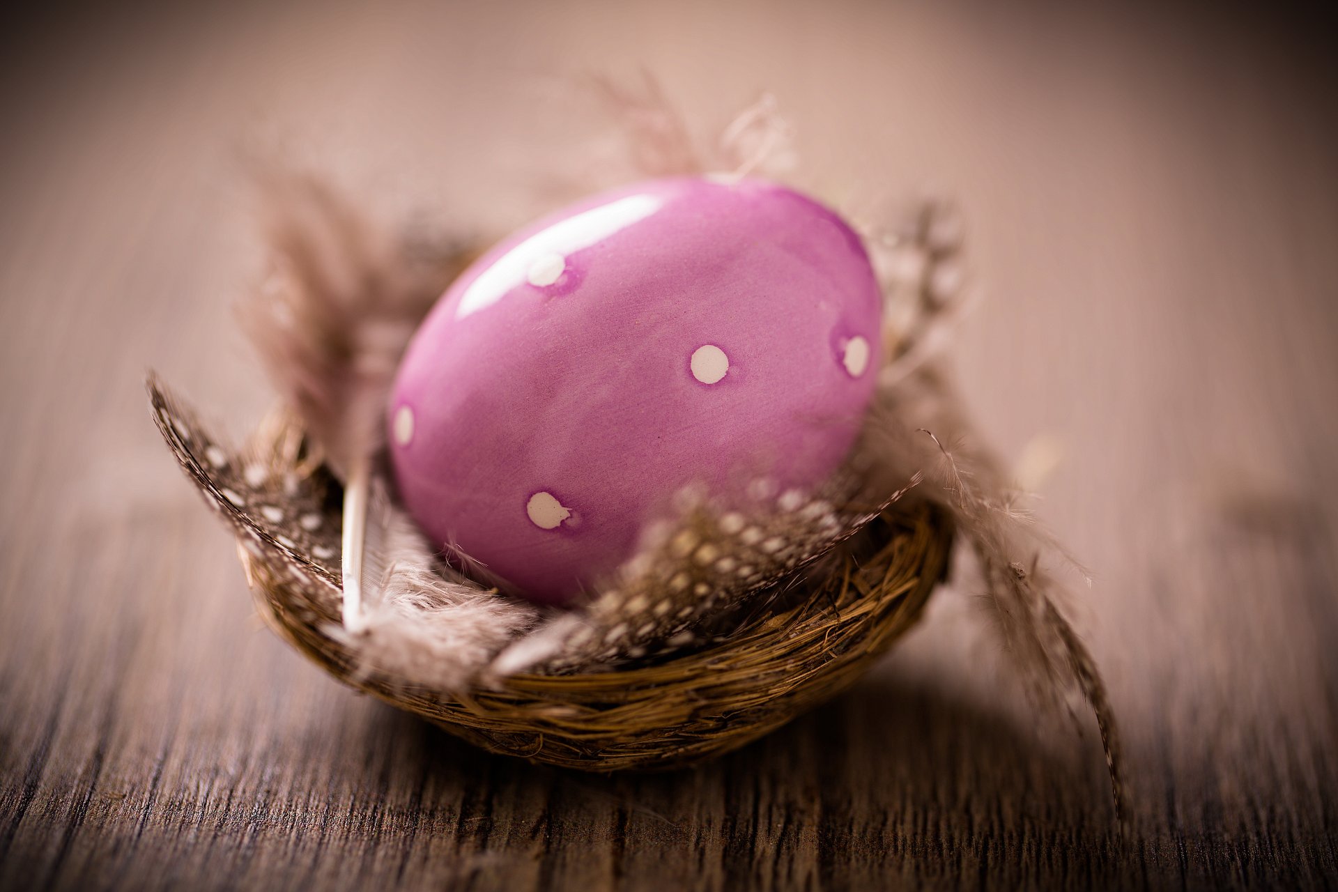 pascua huevos huevos de pascua pascua