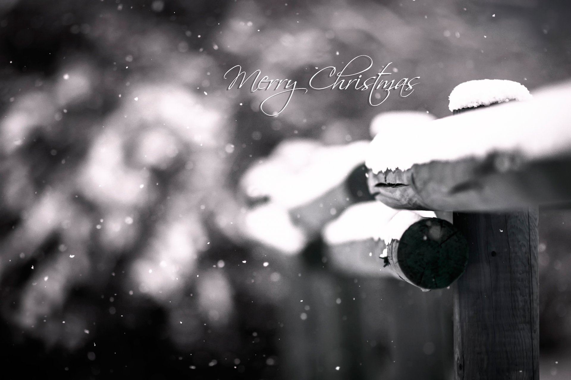 frohe weihnachten makro schnee bokeh