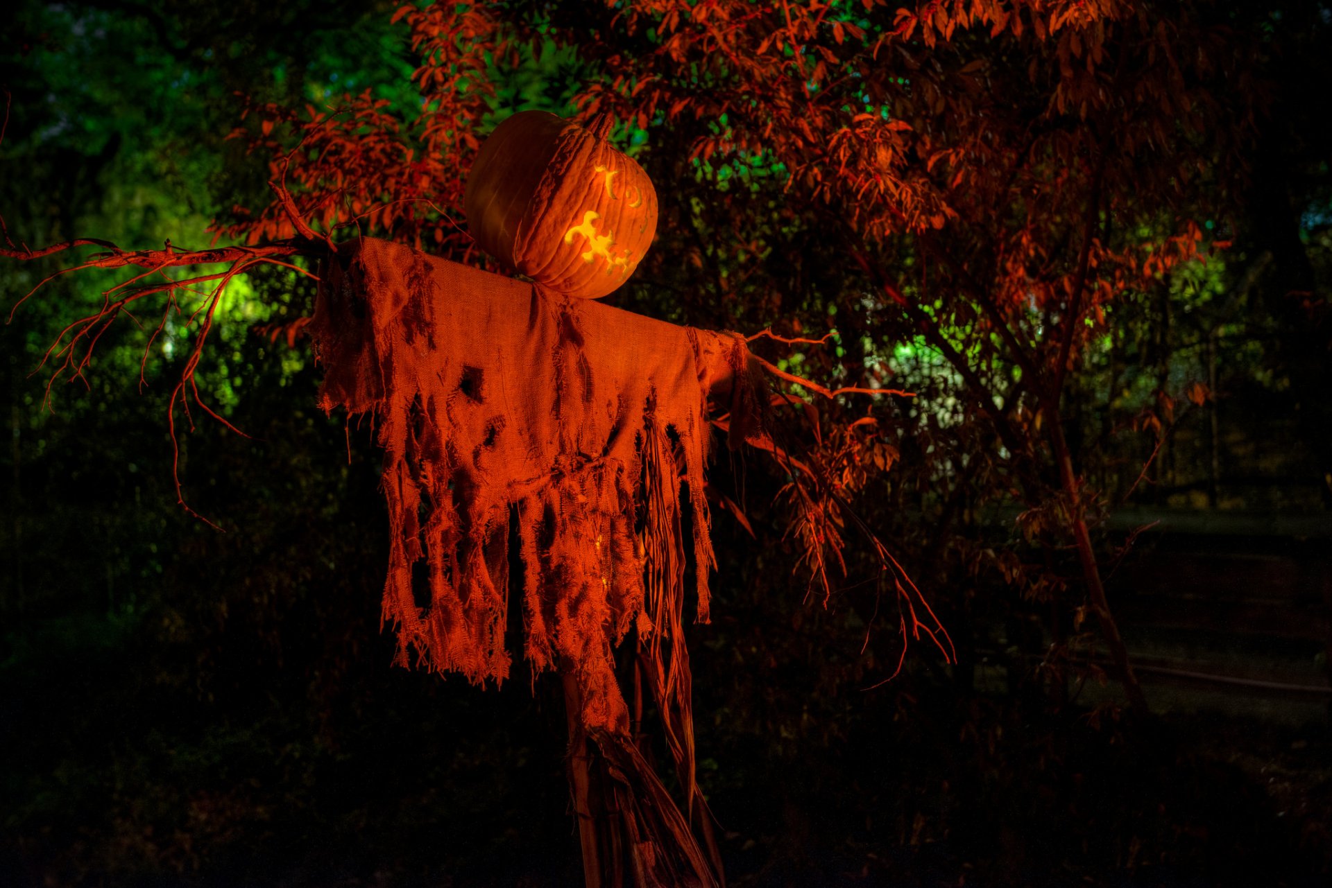 citrouille fantôme fête