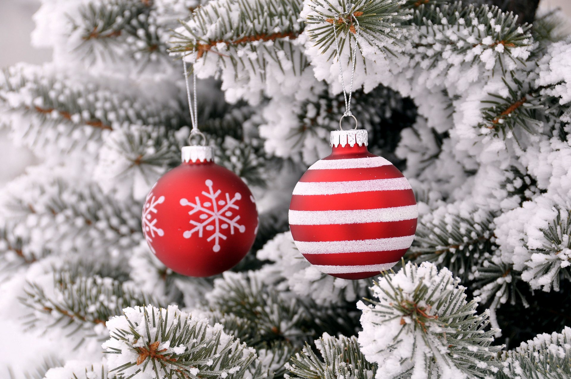 sapin neige arbre de noël boules jouets décoration nouvel an noël