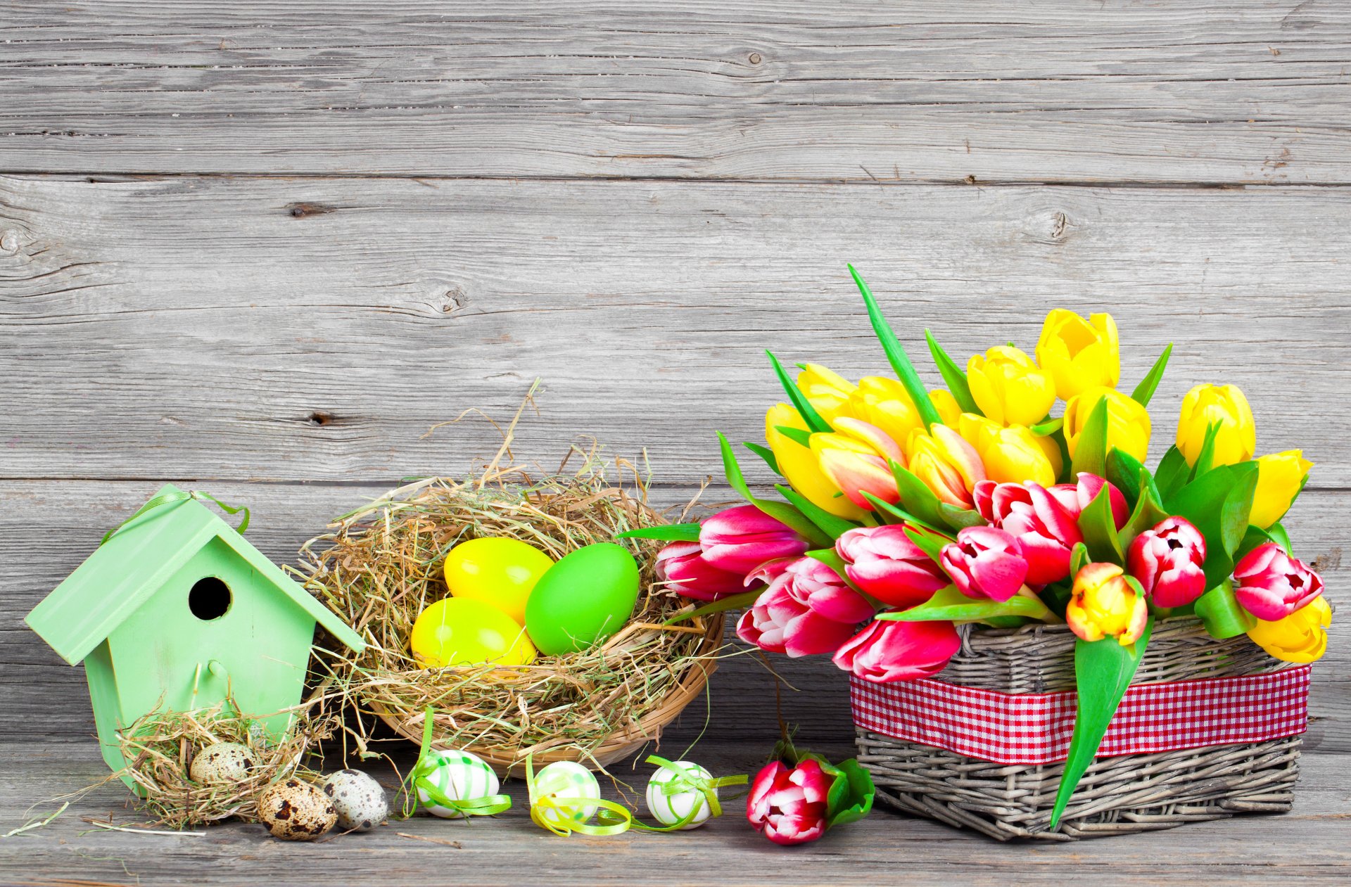 pascua primavera flores huevos colorido tulipanes primavera teñido