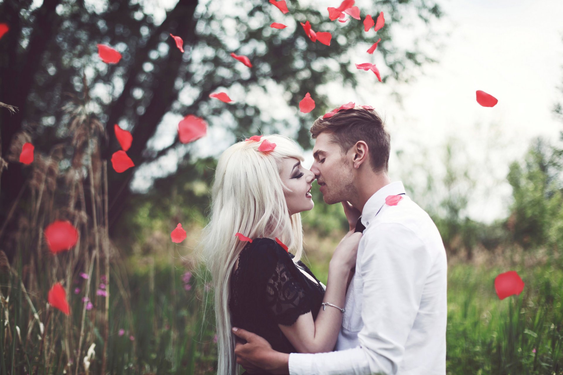 novio novia boda beso pétalos de rosa