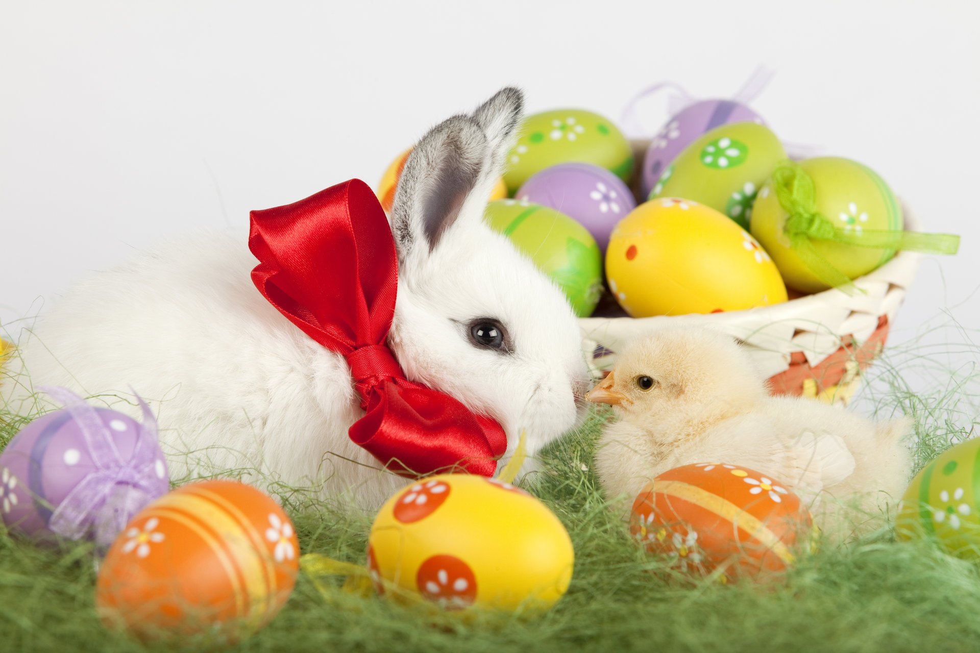 holiday easter grass rabbit chuck shopping colored ball