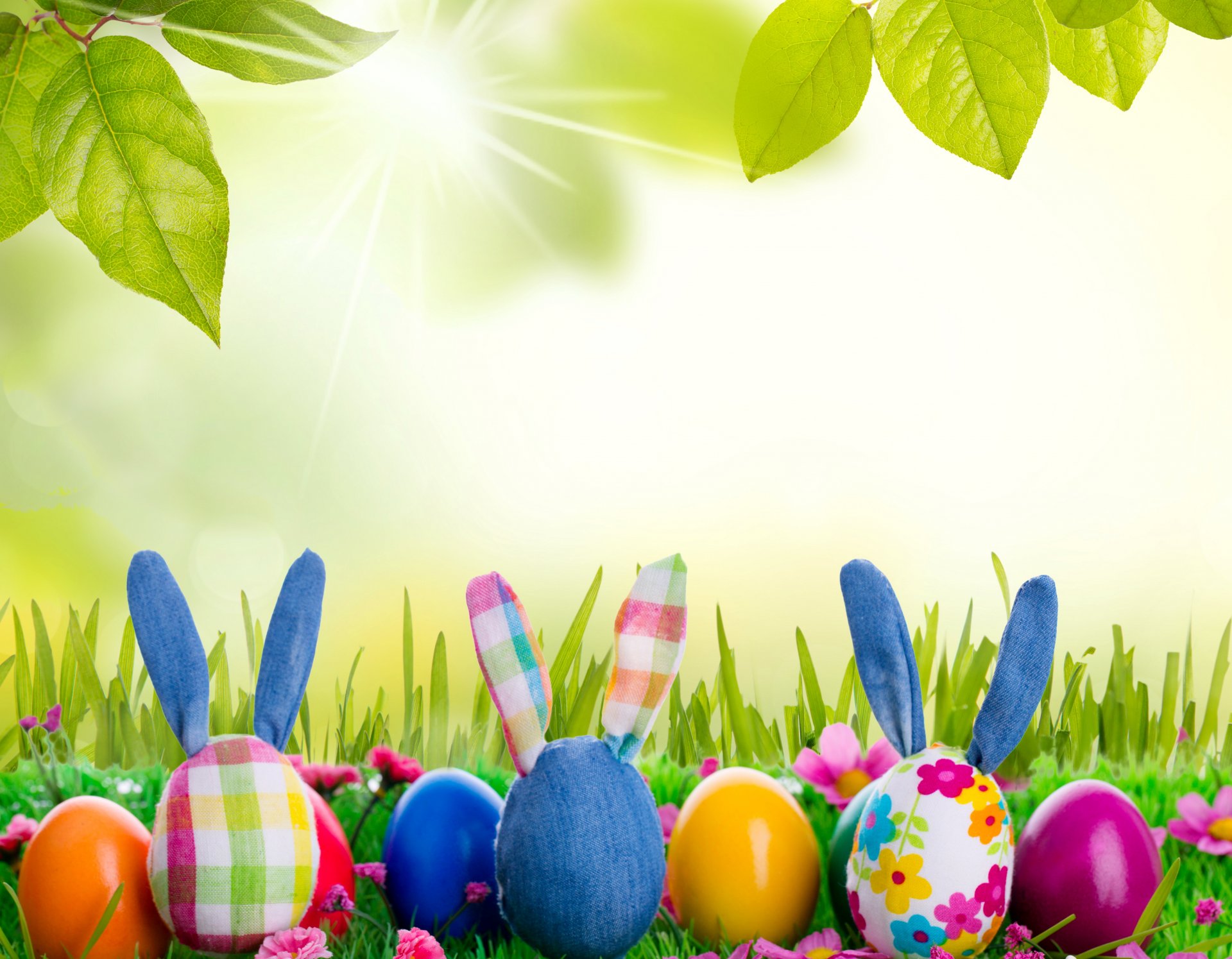 pâques lapin printemps soleil prairie herbe oeufs fleurs printemps jouet