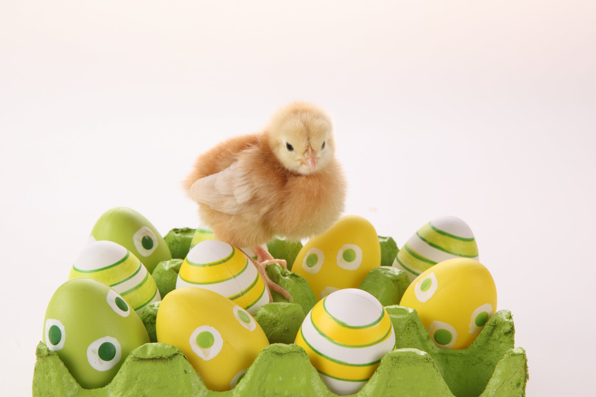 pascua huevo