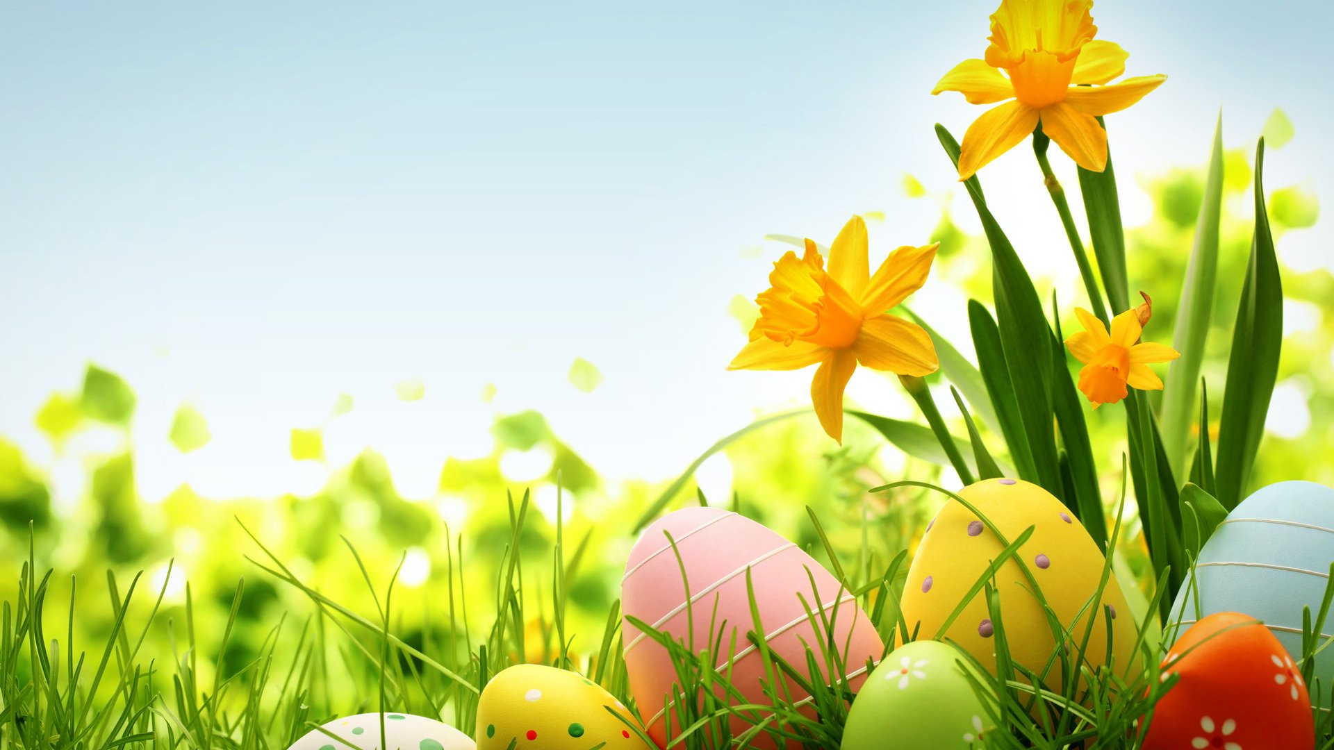 easter eggs flower spring