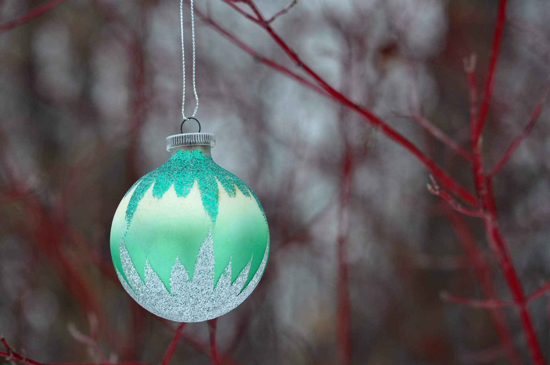 zweig kugel dekoration neujahr weihnachten